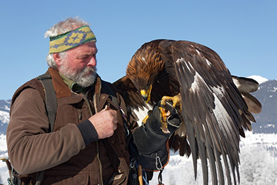 Flugschule Zell am See - FALKE SUCHT STEINADLER